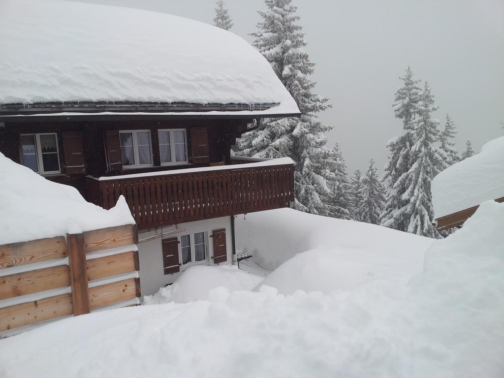 Chalet Grazia รีเดอร์อัลพ์ ภายนอก รูปภาพ